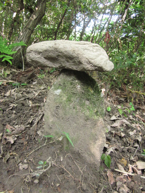 c0114929_1259750.jpg