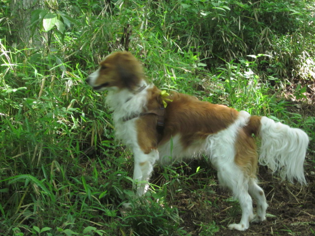 c0114929_13163732.jpg