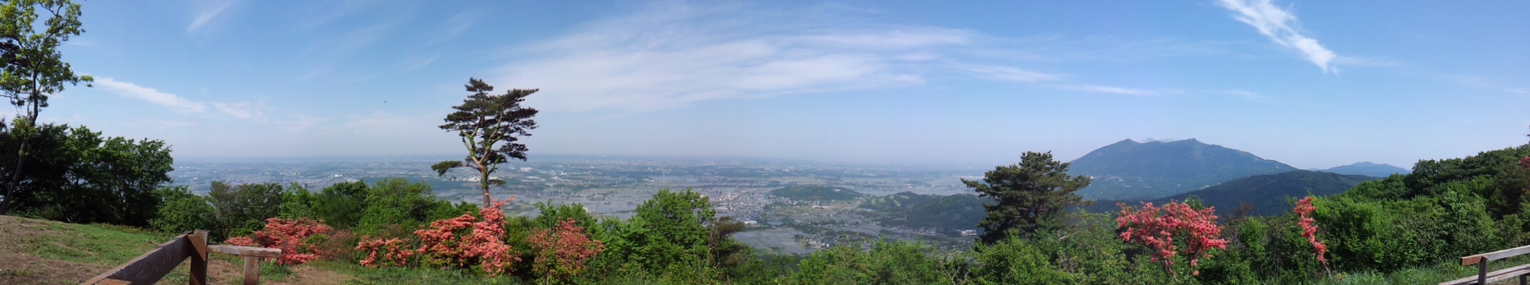 c0114929_1322436.jpg