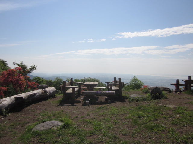 c0114929_1354487.jpg