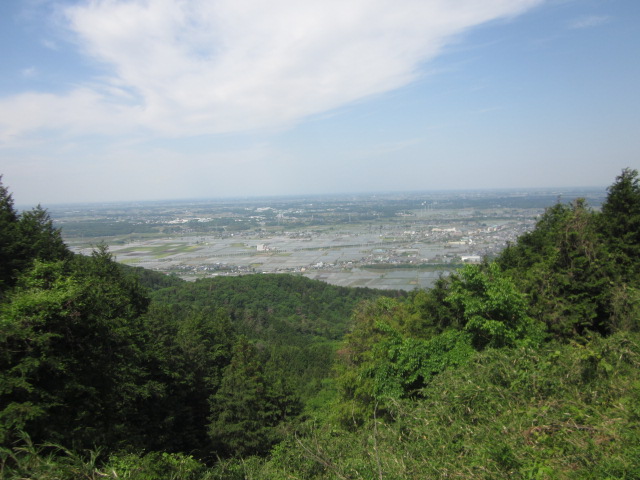 c0114929_1385777.jpg