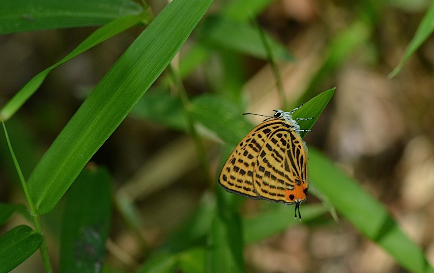 d0303129_041511.jpg