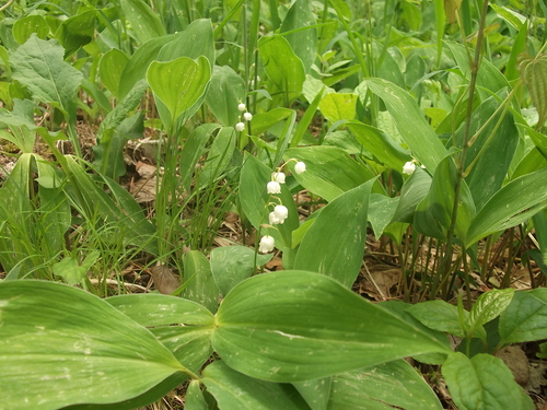 f0304030_223308.jpg