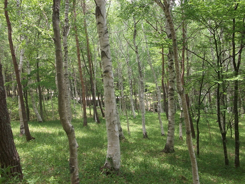 f0304030_23164255.jpg