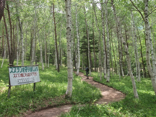 f0304030_23192840.jpg