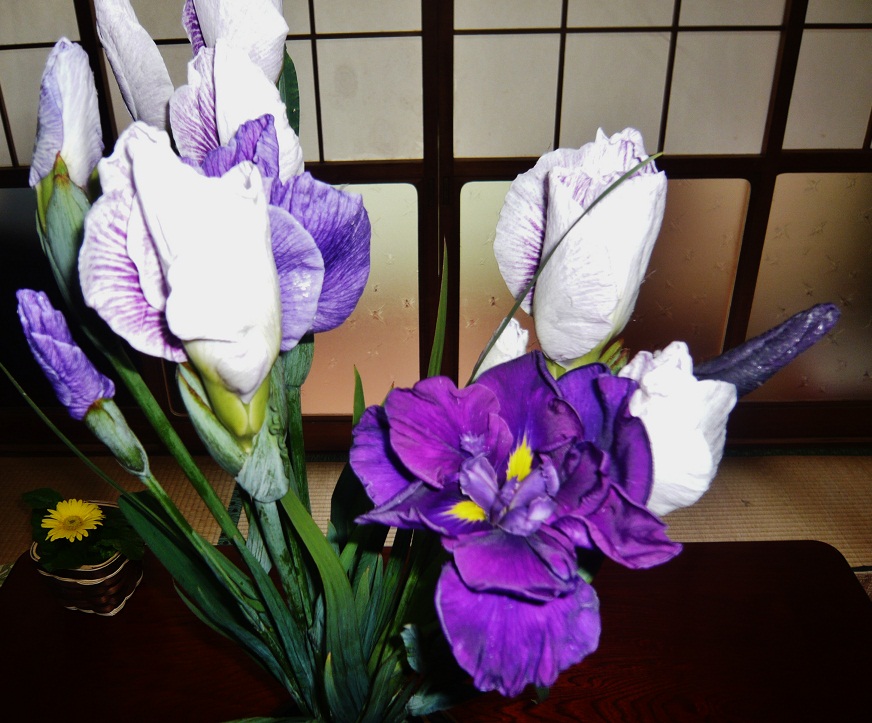 a0206332_11231592.jpg