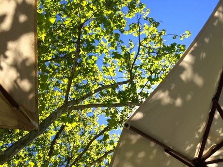 a0231632_2015184.jpg