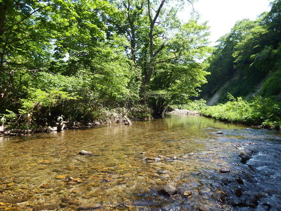 f0118332_2205583.jpg