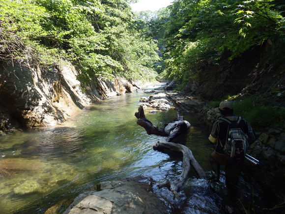f0118332_222812.jpg
