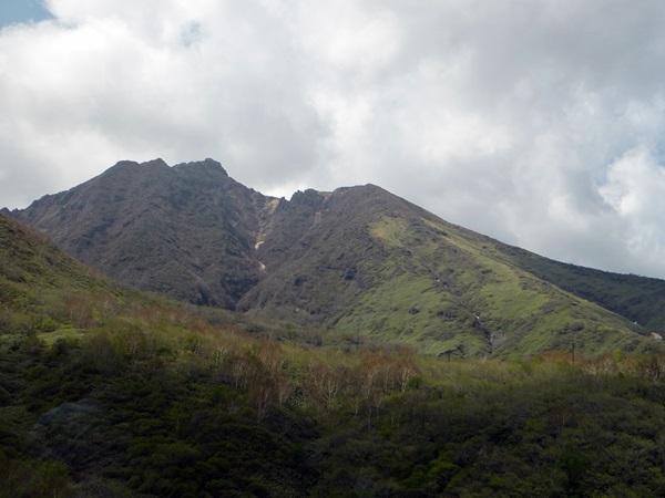 d0037233_16123038.jpg