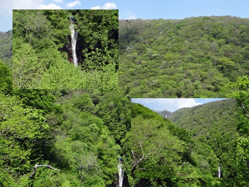 d0037233_16242066.jpg
