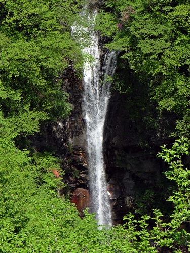 d0037233_1624790.jpg