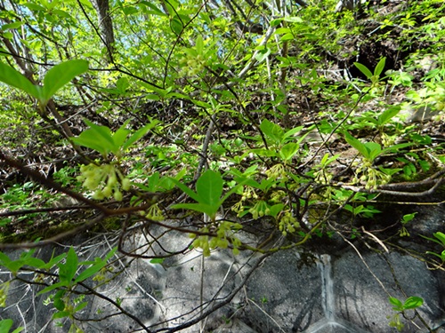 d0037233_16254095.jpg