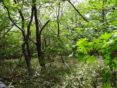 d0037233_1632317.jpg