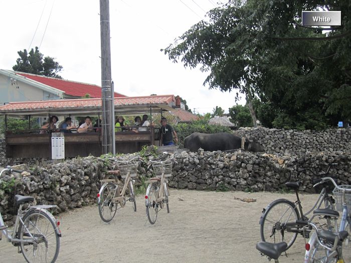c0227134_1635732.jpg