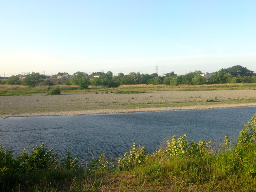 d0013834_2164761.jpg