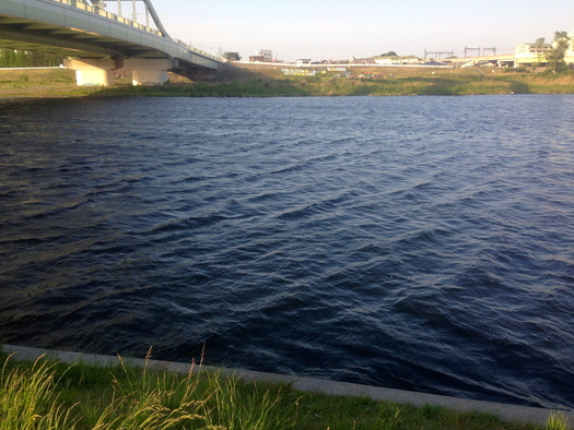 d0013834_217441.jpg