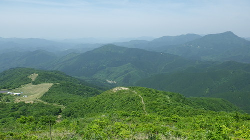 c0300035_849471.jpg