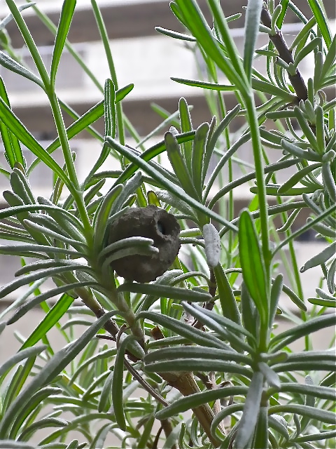 b0027736_13462599.jpg