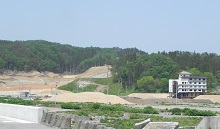 d0164636_8491613.jpg