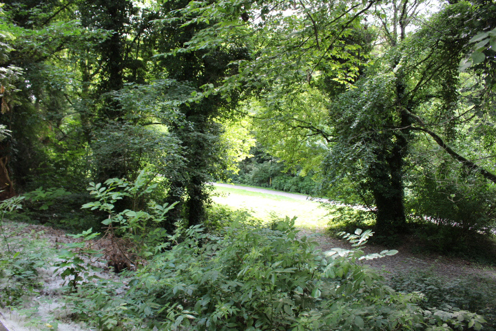 c0153740_17571771.jpg
