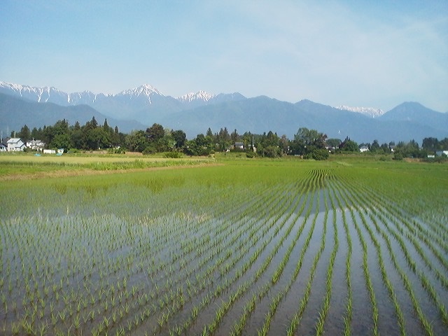 a0272241_20263783.jpg