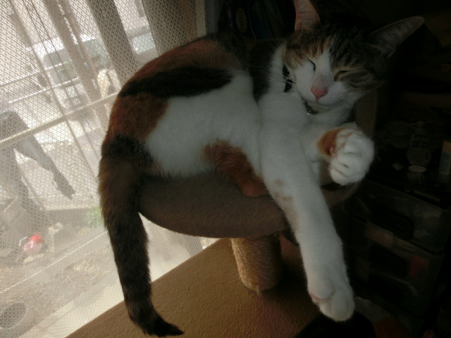 c0194042_1353726.jpg