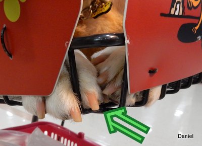 a0142343_1128448.jpg