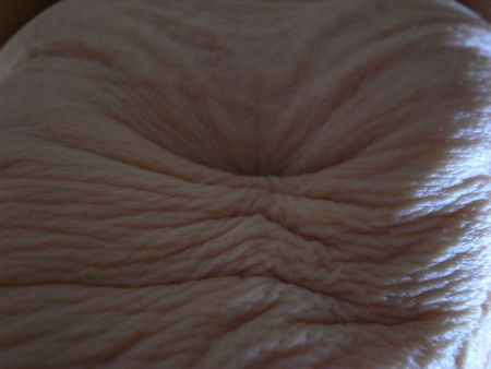 b0170947_8414610.jpg