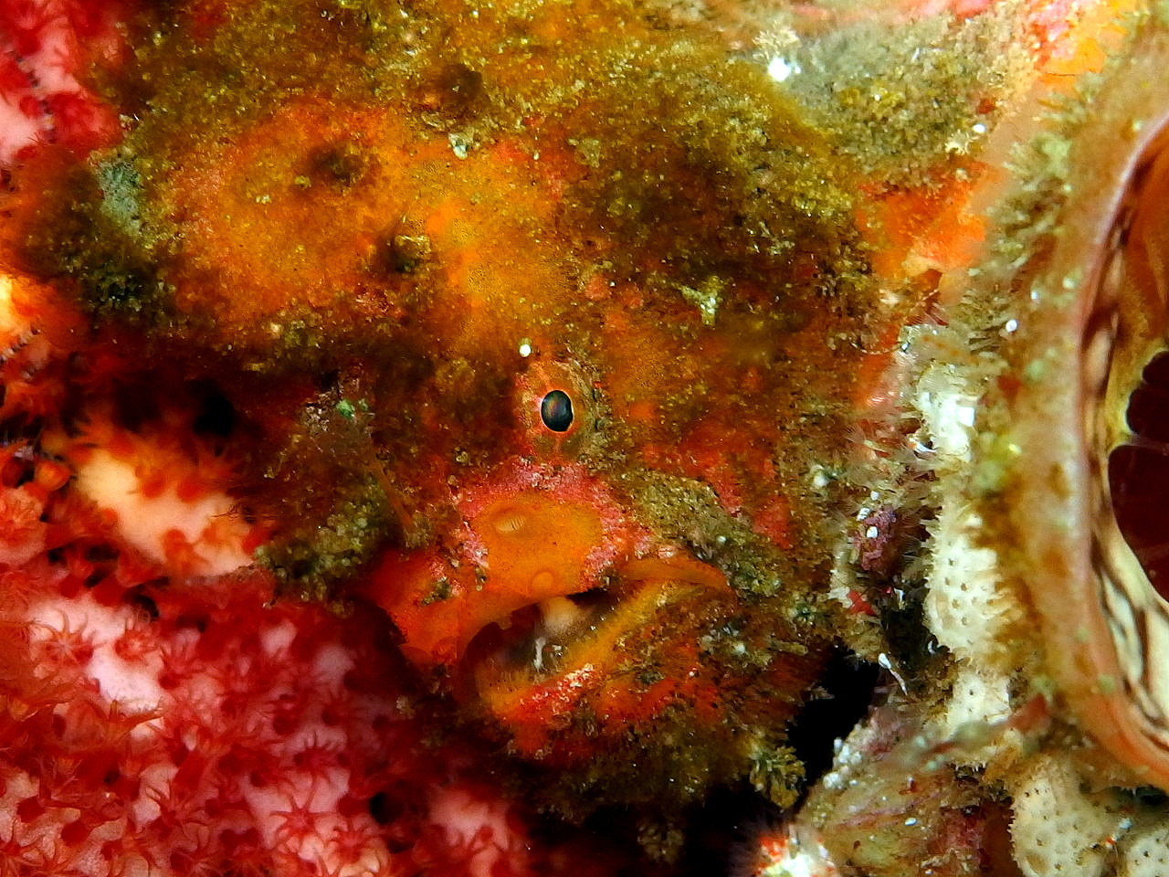 b0236647_1432446.jpg