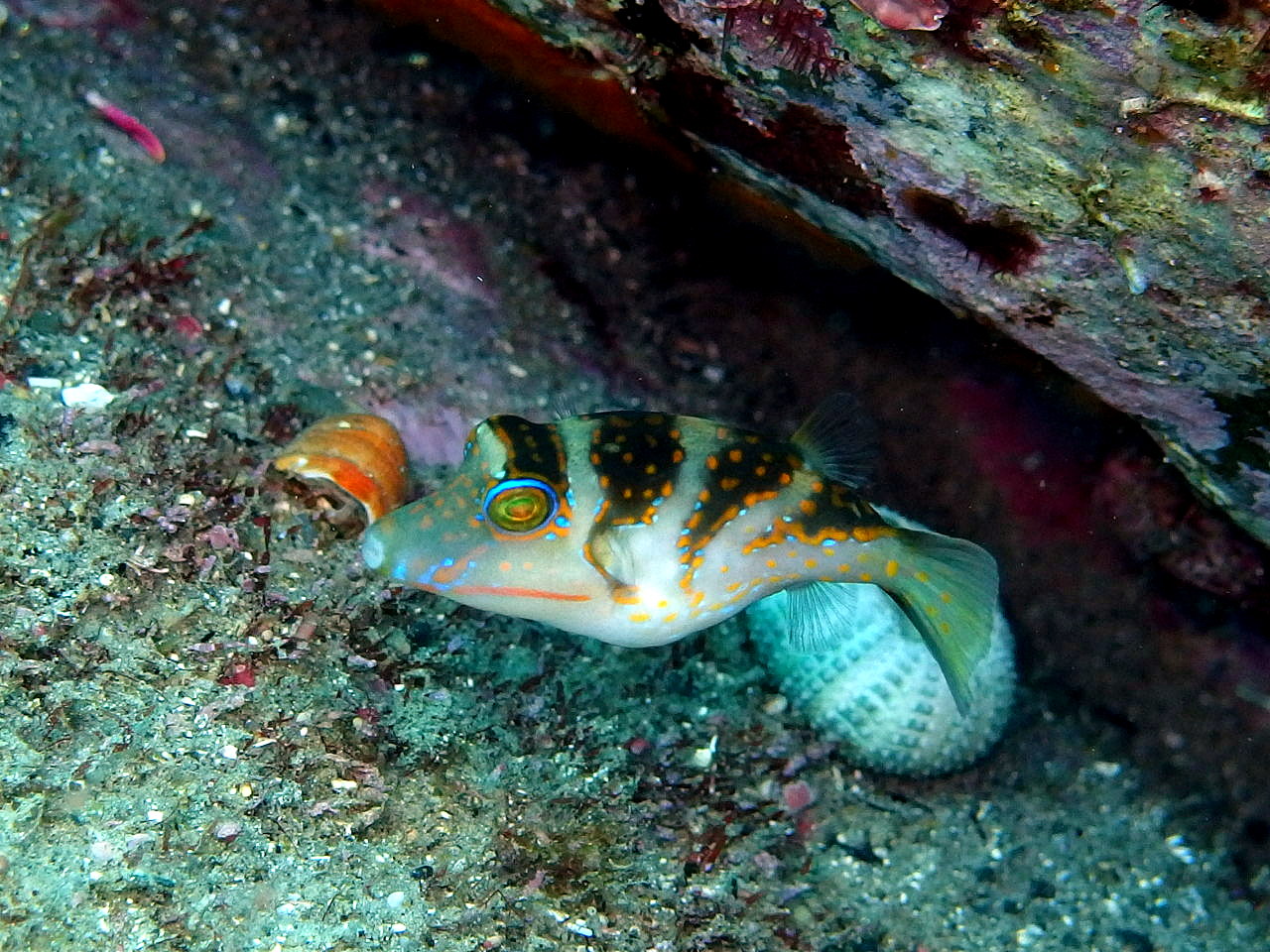 b0236647_14441410.jpg