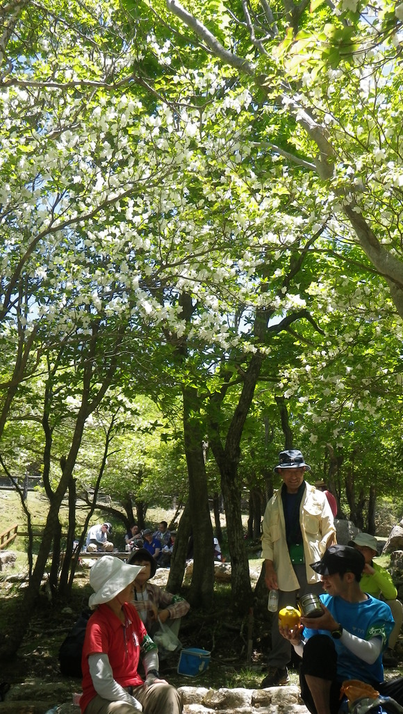 c0042847_10533757.jpg