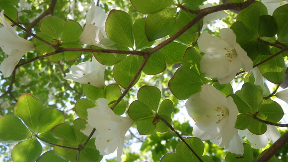 c0042847_10542346.jpg