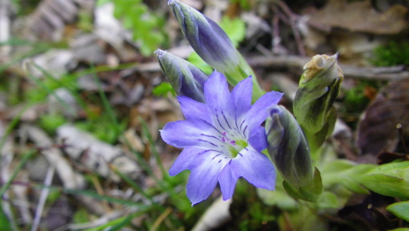 c0042847_10545280.jpg