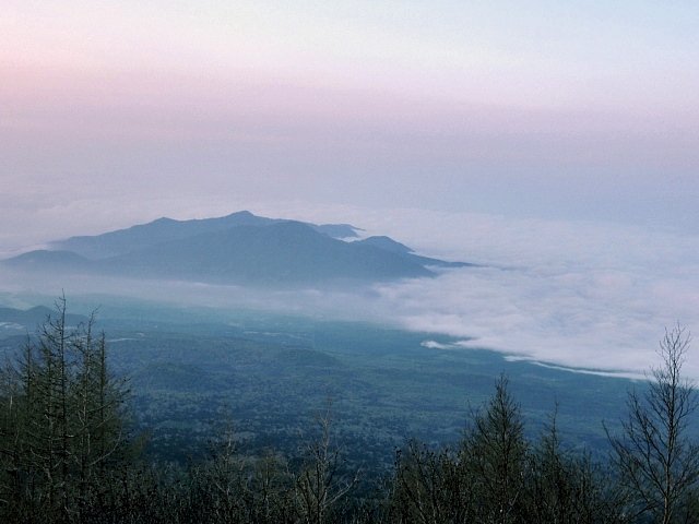 b0122448_12131517.jpg