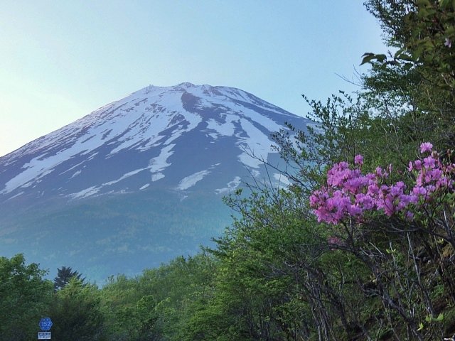 b0122448_12145828.jpg