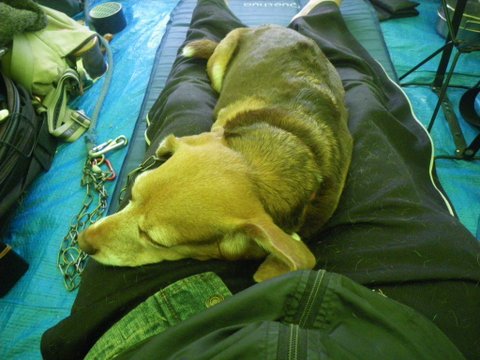 f0046250_17124565.jpg