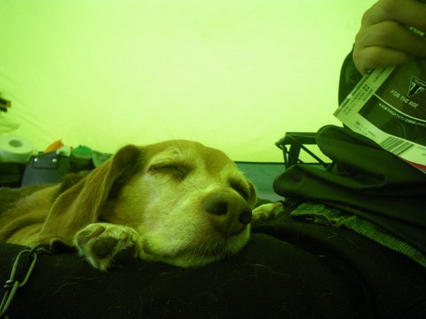 f0046250_1713876.jpg