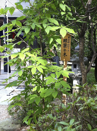 b0158551_12194308.jpg