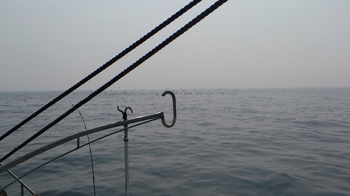 a0248152_1914258.jpg