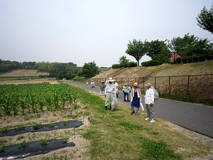c0141652_12204282.jpg