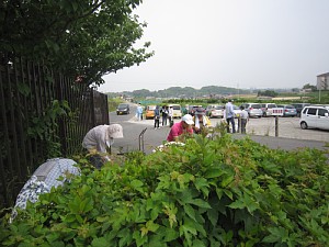 c0141652_12245494.jpg