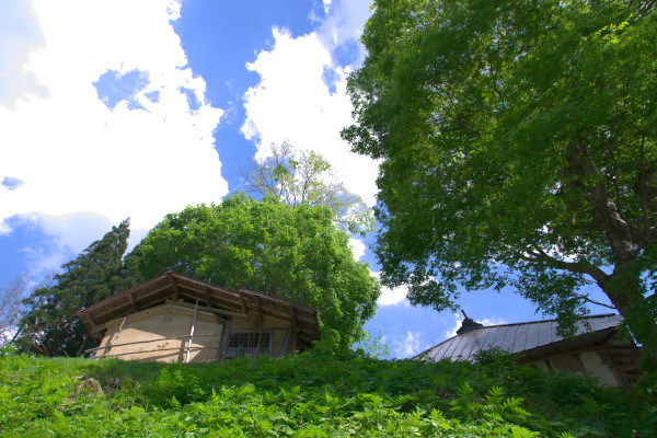 b0320758_21283043.jpg