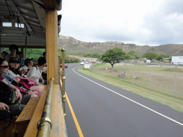 a0181459_17042640.jpg