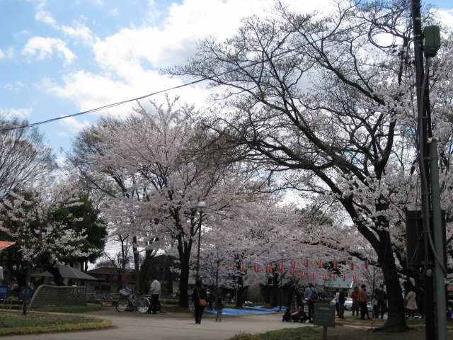 f0345263_19200324.jpg
