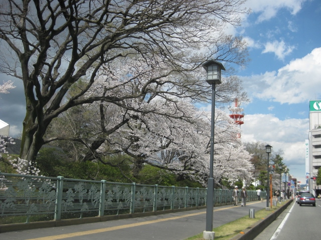 f0345263_19210712.jpg