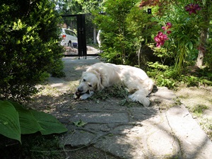 f0321567_12205948.jpg