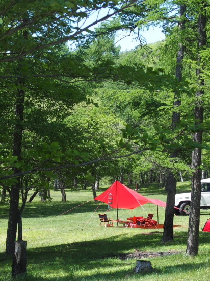 c0122670_06561173.jpg