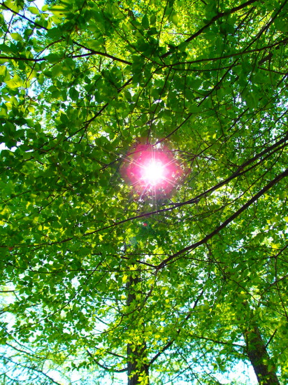 c0122670_06562626.jpg