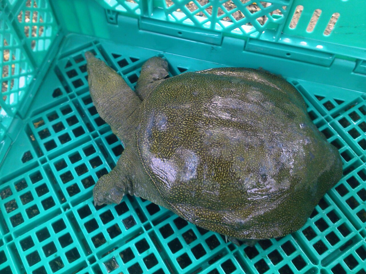 c0260772_14413605.jpg